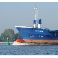 3963 Containerschiff PERU - gruene Fahrwassertonne | Schiffsbilder Hamburger Hafen - Schiffsverkehr Elbe